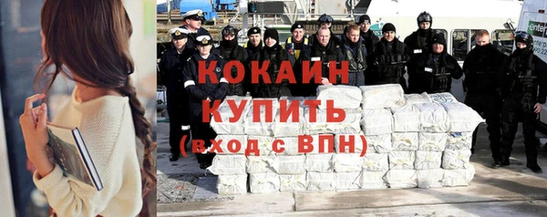 гидра Аркадак