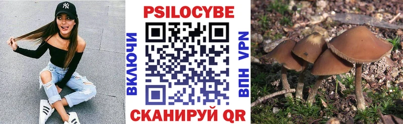 Псилоцибиновые грибы GOLDEN TEACHER Нолинск
